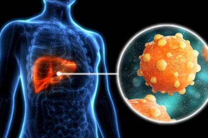 How to Detect Hepatitis B in Its Early Stages: Symptoms, Tests, What to Do Next