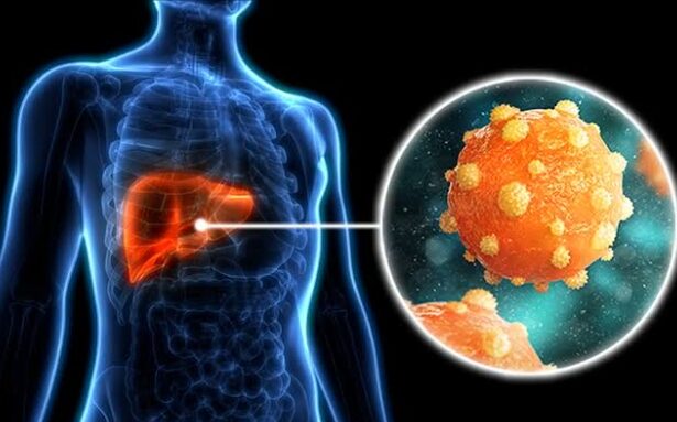How to Detect Hepatitis B in Its Early Stages: Symptoms, Tests, What to Do Next