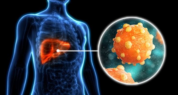 How to Detect Hepatitis B in Its Early Stages: Symptoms, Tests, What to Do Next